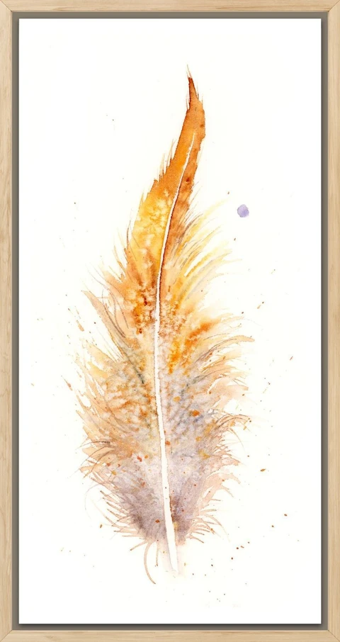 Image of a feather watercolor painting by Shayna Larsen, originals & prints available
