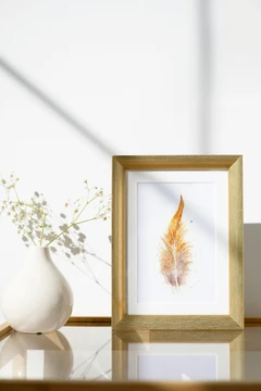 Image of a feather watercolor painting by Shayna Larsen, originals & prints available
