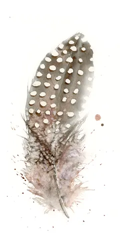 Image of a feather watercolor painting by Shayna Larsen, originals & prints available
