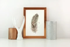 Image of a feather watercolor painting by Shayna Larsen, originals & prints available