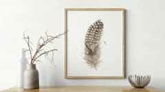 Image of a feather watercolor painting by Shayna Larsen, originals & prints available