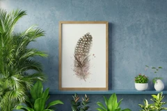 Image of a feather watercolor painting by Shayna Larsen, originals & prints available