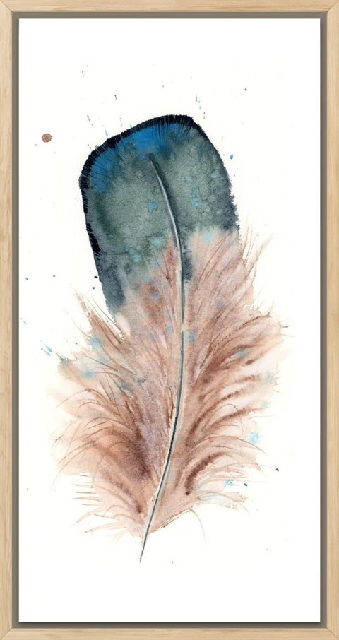 Image of a feather watercolor painting by Shayna Larsen, originals & prints available