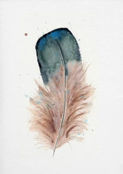 Image of a feather watercolor painting by Shayna Larsen, originals & prints available