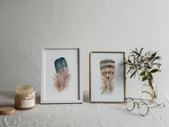 Image of a feather watercolor painting by Shayna Larsen, originals & prints available