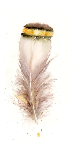 Image of a feather watercolor painting by Shayna Larsen, originals & prints available