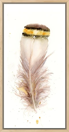 Image of a feather watercolor painting by Shayna Larsen, originals & prints available