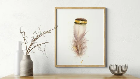 Image of a feather watercolor painting by Shayna Larsen, originals & prints available