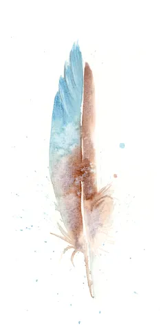 Image of a feather watercolor painting by Shayna Larsen, originals & prints available