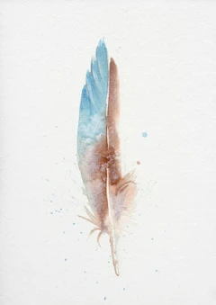 Image of a feather watercolor painting by Shayna Larsen, originals & prints available