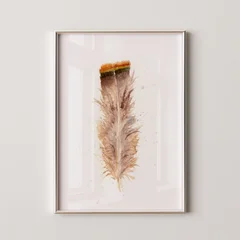 Image of a feather watercolor painting by Shayna Larsen, originals & prints available