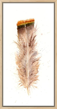 Image of a feather watercolor painting by Shayna Larsen, originals & prints available