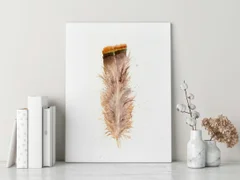 Image of a feather watercolor painting by Shayna Larsen, originals & prints available