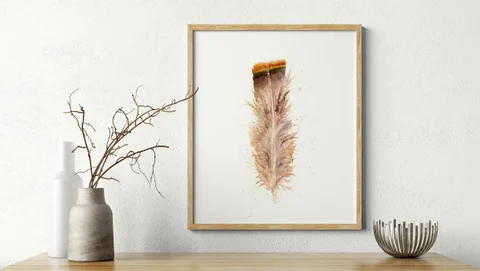 Image of a feather watercolor painting by Shayna Larsen, originals & prints available