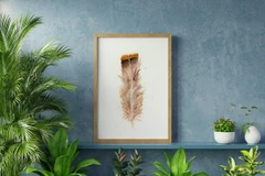 Image of a feather watercolor painting by Shayna Larsen, originals & prints available