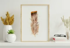 Image of a feather watercolor painting by Shayna Larsen, originals & prints available