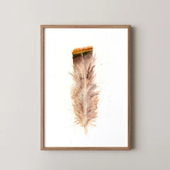 Image of a feather watercolor painting by Shayna Larsen, originals & prints available