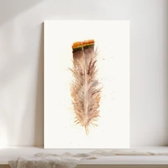 Image of a feather watercolor painting by Shayna Larsen, originals & prints available