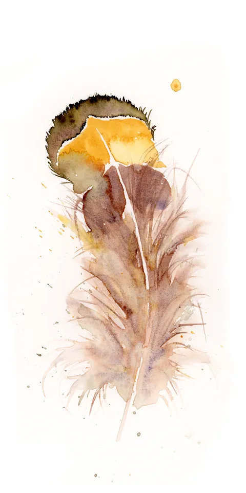 Image of a feather watercolor painting by Shayna Larsen, originals & prints available