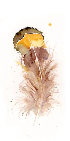 Image of a feather watercolor painting by Shayna Larsen, originals & prints available