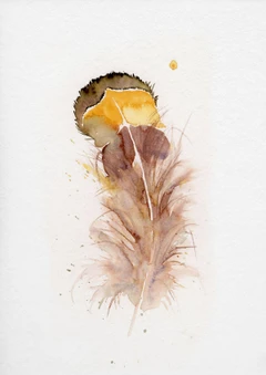 Image of a feather watercolor painting by Shayna Larsen, originals & prints available