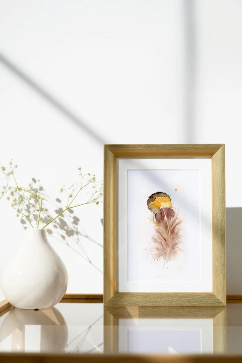 Image of a feather watercolor painting by Shayna Larsen, originals & prints available
