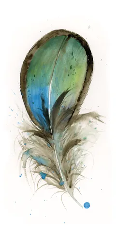 Image of a feather watercolor painting by Shayna Larsen, originals & prints available