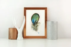 Image of a feather watercolor painting by Shayna Larsen, originals & prints available