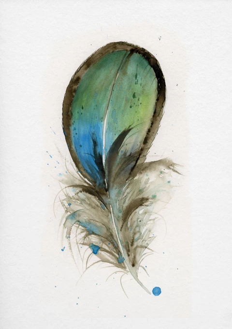 Image of a feather watercolor painting by Shayna Larsen, originals & prints available