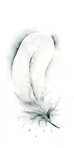 Image of a feather watercolor painting by Shayna Larsen, originals & prints available