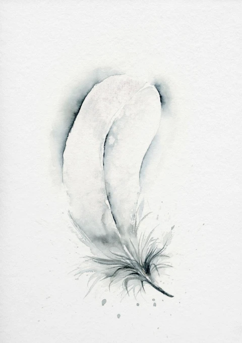 Image of a feather watercolor painting by Shayna Larsen, originals & prints available