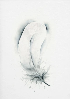 Image of a feather watercolor painting by Shayna Larsen, originals & prints available