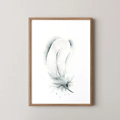 Image of a feather watercolor painting by Shayna Larsen, originals & prints available