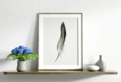 Image of a feather watercolor painting by Shayna Larsen, originals & prints available