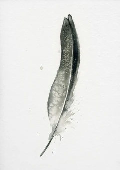 Image of a feather watercolor painting by Shayna Larsen, originals & prints available