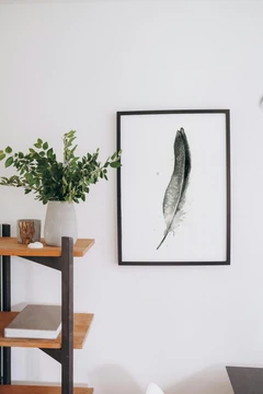Image of a feather watercolor painting by Shayna Larsen, originals & prints available