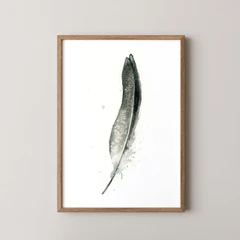 Image of a feather watercolor painting by Shayna Larsen, originals & prints available