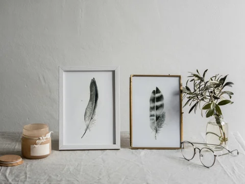 Image of a feather watercolor painting by Shayna Larsen, originals & prints available