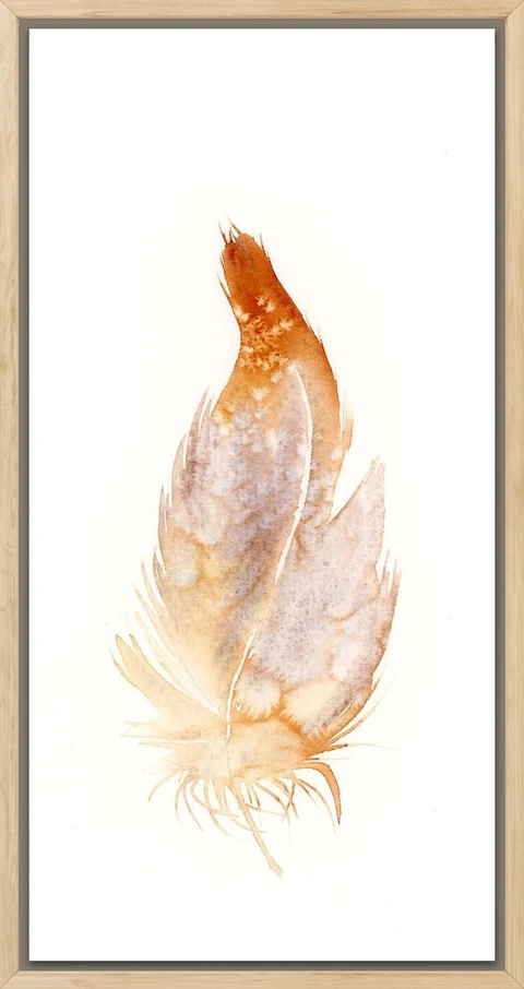 Image of a feather watercolor painting by Shayna Larsen, originals & prints available