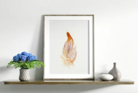Image of a feather watercolor painting by Shayna Larsen, originals & prints available