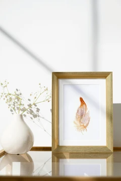 Image of a feather watercolor painting by Shayna Larsen, originals & prints available