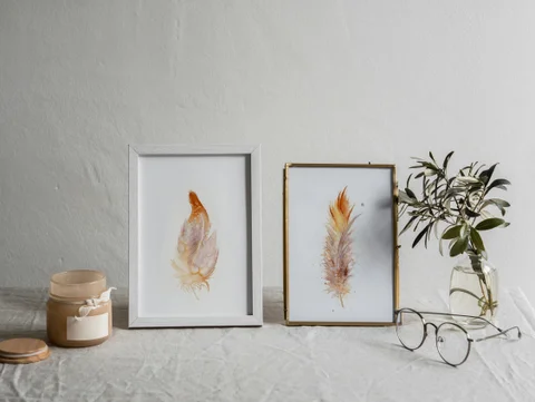 Image of a feather watercolor painting by Shayna Larsen, originals & prints available