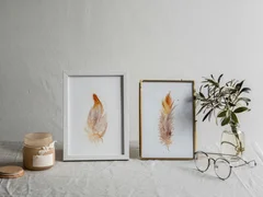 Image of a feather watercolor painting by Shayna Larsen, originals & prints available