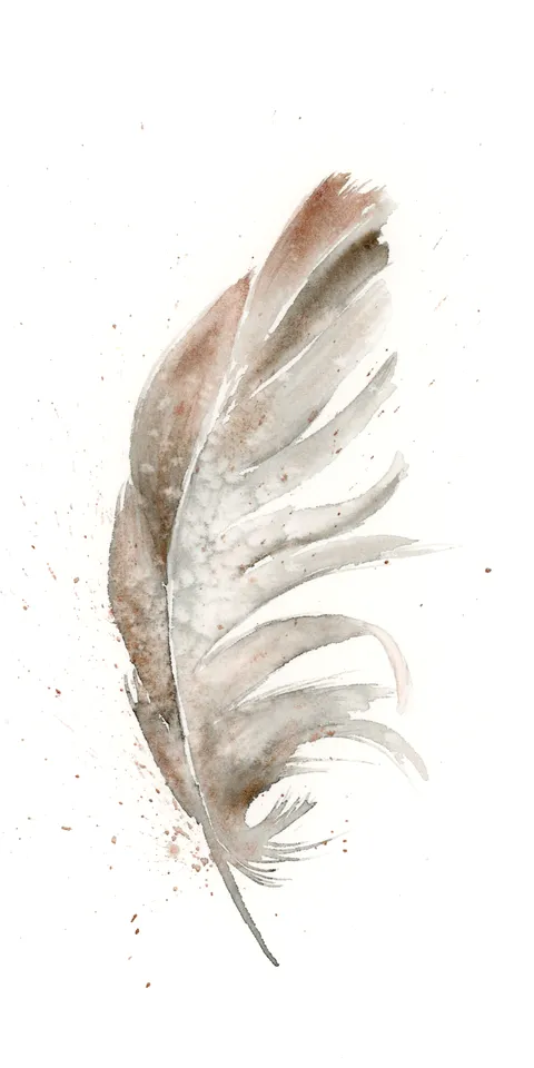 Image of a feather watercolor painting by Shayna Larsen, originals & prints available