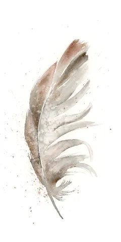 Image of a feather watercolor painting by Shayna Larsen, originals & prints available