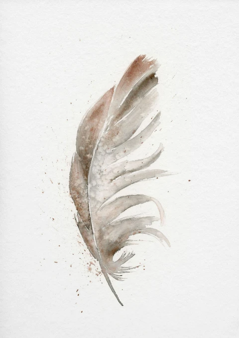 Image of a feather watercolor painting by Shayna Larsen, originals & prints available