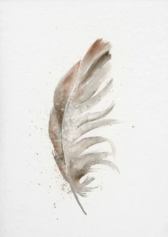 Image of a feather watercolor painting by Shayna Larsen, originals & prints available