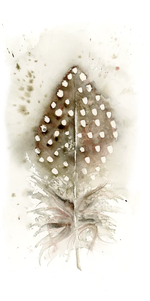 Image of a feather watercolor painting by Shayna Larsen, originals & prints available