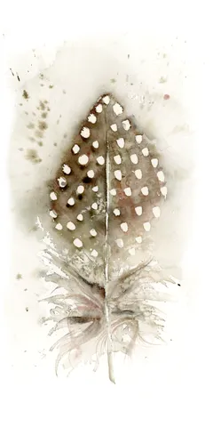 Image of a feather watercolor painting by Shayna Larsen, originals & prints available