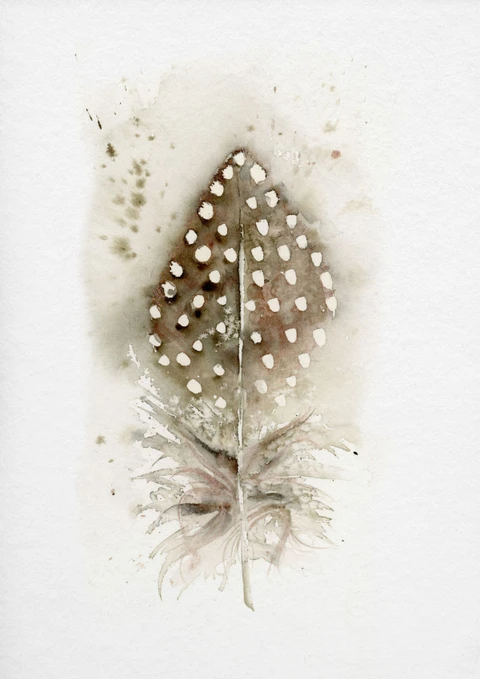 Image of a feather watercolor painting by Shayna Larsen, originals & prints available